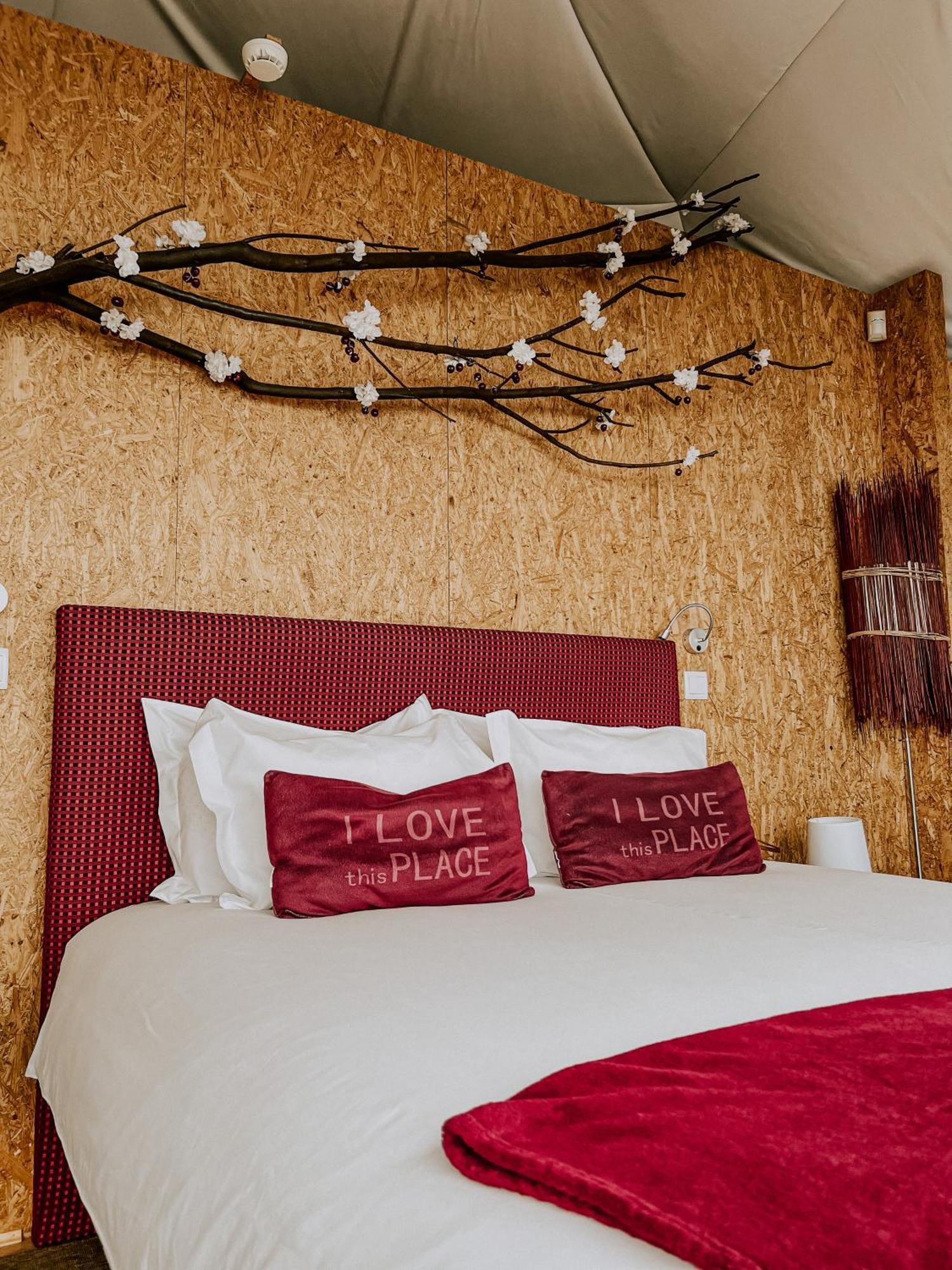 Natura Glamping Alcongosta Exterior photo